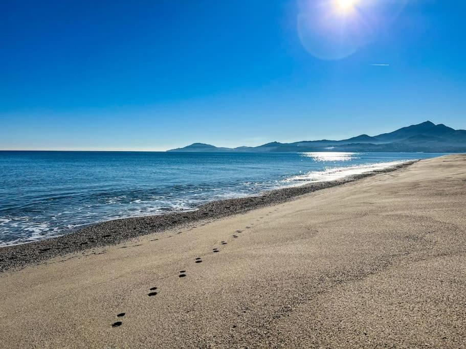 Appartement Mignon A 100M De La Plage, Argeles-Sur-Mer - 3 Personnes Εξωτερικό φωτογραφία