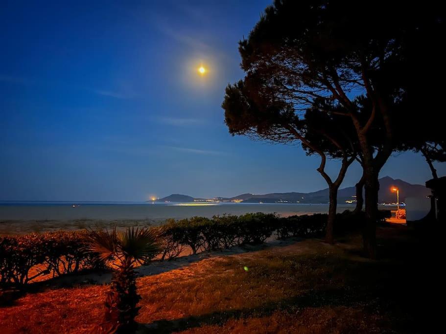 Appartement Mignon A 100M De La Plage, Argeles-Sur-Mer - 3 Personnes Εξωτερικό φωτογραφία